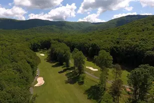 300 Sassafras Mountain Trail, Jasper, GA 30143 - Photo 65