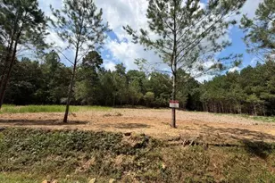 84 Popham Road Tract 1 & 2, Taylorsville, GA 30178 - Photo 1