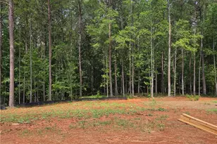 313 Meadows Dr, Bethlehem, GA 30620 - Photo 17