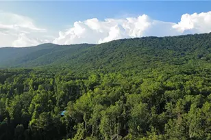 116 Ramblewood Ln, Jasper, GA 30143 - Photo 29