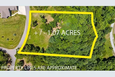 2434 Standing Meadow Dr-Lot, Young Harris, GA 30582 - Photo 3