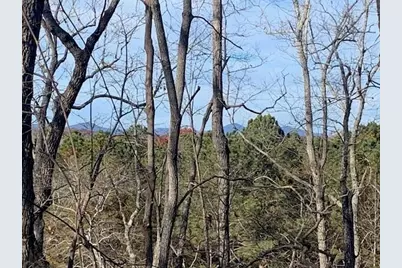 0 Auraria Ridge, Dawsonville, GA 30534 - Photo 5