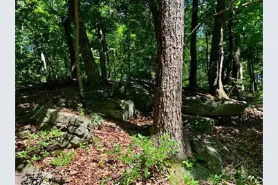 0 Auraria Ridge, Dawsonville, GA 30534 - Photo 13