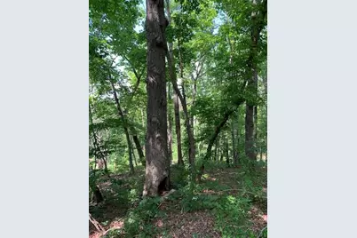 0 Auraria Ridge, Dawsonville, GA 30534 - Photo 19