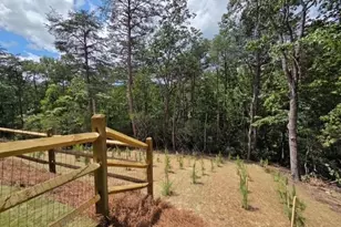 129 Morse Elm Loop, Waleska, GA 30183 - Photo 15