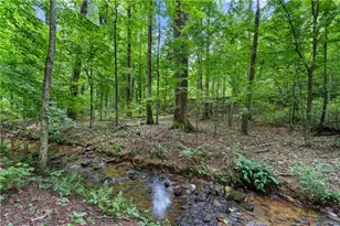 1175 Mars Hill Road NW, Acworth, GA 30101 - Photo 5
