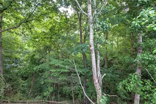 236 Mountain Vista Blvd, Canton, GA 30115 - Photo 53
