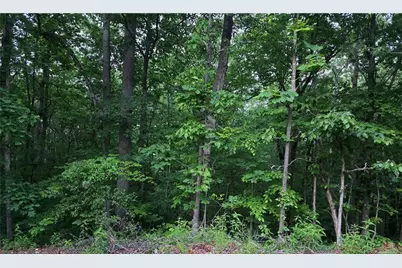 0 Old McKaskey Creek Road SE, Cartersville, GA 30121 - Photo 1