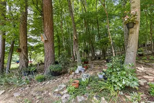 11690 Old Hwy 76, Morganton, GA 30560 - Photo 61