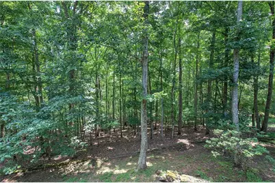376 Alpine Drive, Jasper, GA 30143 - Photo 47