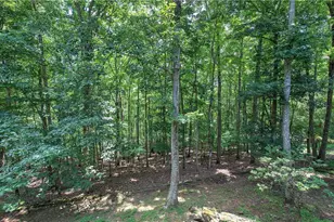 376 Alpine Dr, Jasper, GA 30143 - Photo 47