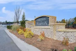 204 Friendship Oak Wy, Hampton, GA 30228 - Photo 35
