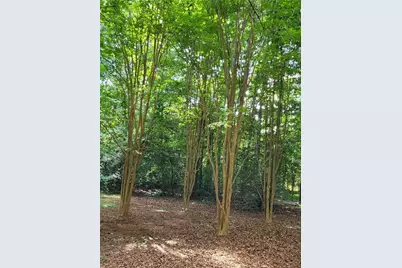 847 Knottywood Drive, Lavonia, GA 30553 - Photo 13