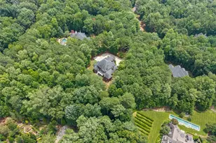 110 Smith Forest Ln, Alpharetta, GA 30004 - Photo 99