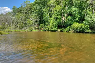 160 Adams Circle, Mineral Bluff, GA 30559 - Photo 57