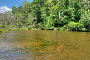 160 Adams Cir, Mineral Bluff, GA 30559 - Photo 57