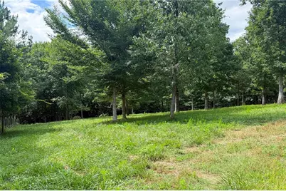 851 Lacy Road, Canton, GA 30115 - Photo 51