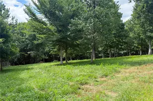 851 Lacy Rd, Canton, GA 30115 - Photo 51