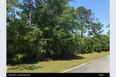 0 Jim Hammock Drive, Mcrae, GA 31055 - Photo 3