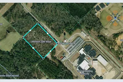 0 Jim Hammock Drive, Mcrae, GA 31055 - Photo 1