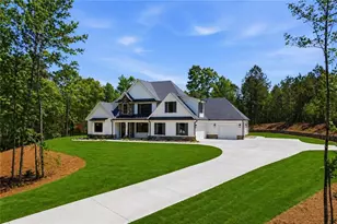 466 Mt Olive Church Ln, Canton, GA 30114 - Photo 3