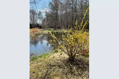 215 Dunnmill Creek Road, Blue Ridge, GA 30513 - Photo 25