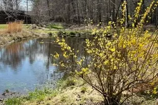 215 Dunn Mill Creek Rd, Blue Ridge, GA 30513 - Photo 25