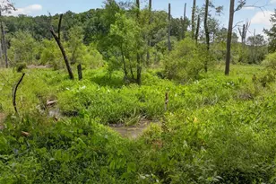 365 Nunnally Farm Rd, Monroe, GA 30655 - Photo 83