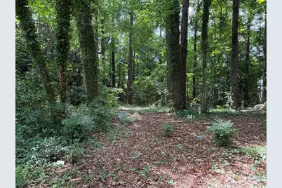 2386 Young Road, Stone Mountain, GA 30088 - Photo 7