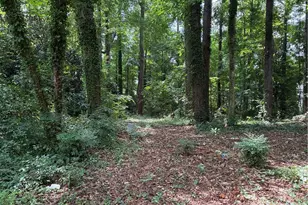 2386 Young Rd, Stone Mountain, GA 30088 - Photo 7
