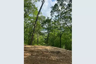 324 Adair Drive, Ranger, GA 30734 - Photo 7