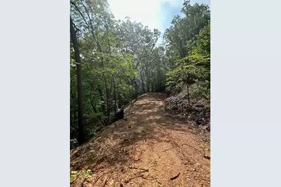 324 Adair Drive, Ranger, GA 30734 - Photo 11