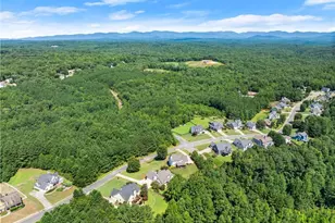 234 Morgan Ln, Dawsonville, GA 30534 - Photo 61