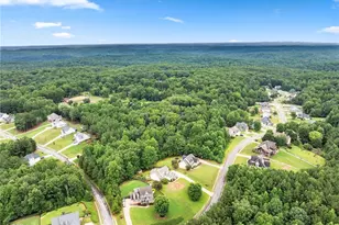 234 Morgan Ln, Dawsonville, GA 30534 - Photo 63