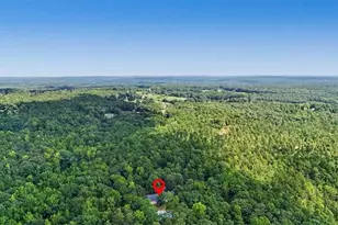 416 Old Jones Rd, Whitesburg, GA 30185 - Photo 63