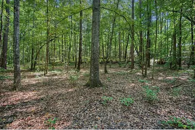 416 Old Jones Road, Whitesburg, GA 30185 - Photo 53