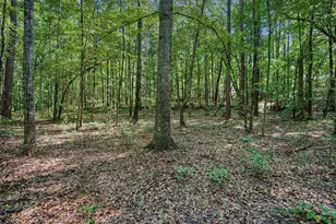 416 Old Jones Rd, Whitesburg, GA 30185 - Photo 53