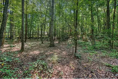 416 Old Jones Road, Whitesburg, GA 30185 - Photo 49
