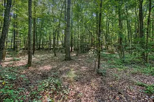 416 Old Jones Rd, Whitesburg, GA 30185 - Photo 49
