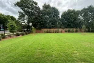 101 Haverling Pass, Hampton, GA 30228 - Photo 3