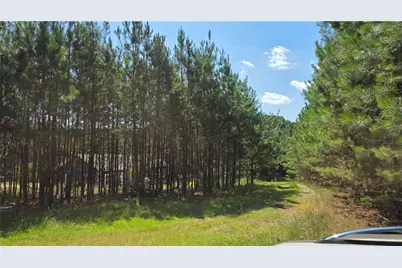 3557 Old Monroe Madison Highway, Madison, GA 30650 - Photo 25