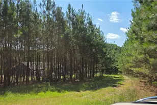 3557 Old Monroe Madison Hwy, Madison, GA 30650 - Photo 25