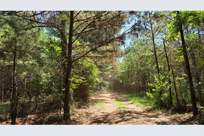3557 Old Monroe Madison Highway, Madison, GA 30650 - Photo 23