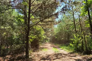 3557 Old Monroe Madison Hwy, Madison, GA 30650 - Photo 23