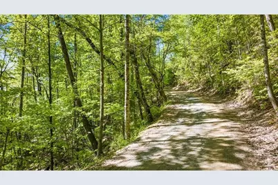 Lot 18 Cub Trail, Cherrylog, GA 30522 - Photo 3