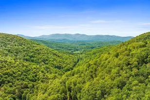 Lot 18 Cub Trail, Cherrylog, GA 30522 - Photo 1