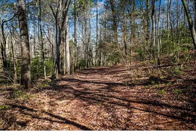 102 Captains Cove, Blairsville, GA 30512 - Photo 53