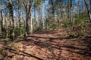 102 Captains Cove, Blairsville, GA 30512 - Photo 53