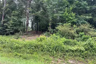 3963 Dabbs Bridge Rd, Acworth, GA 30101 - Photo 1