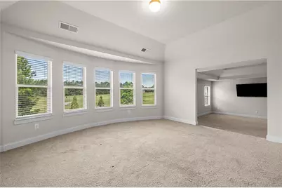 3256 Alhambra Circle, Hampton, GA 30228 - Photo 29